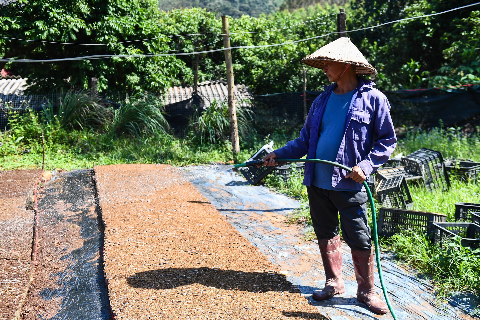 Ngày hội việc làm gắn với giảm nghèo bền vững