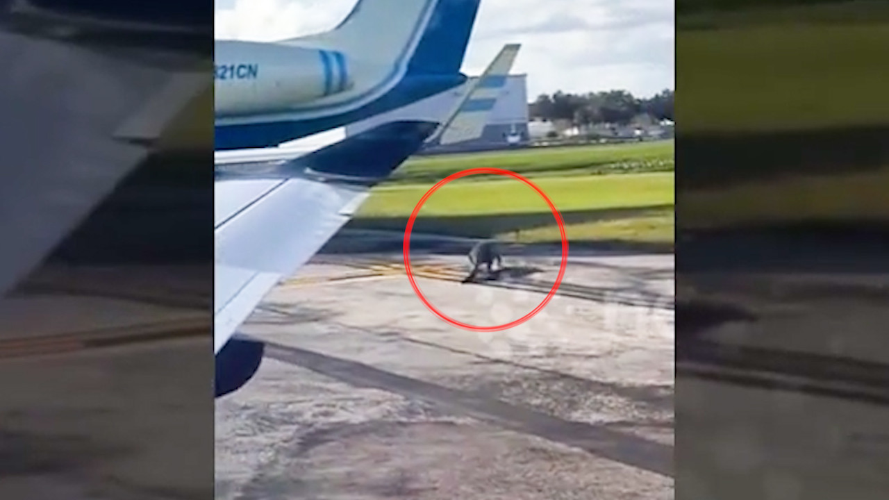 USA TRIP . TẬP 4  Room Tour The Plaza Hotel, New York.01_07_20_09.Still141.jpg