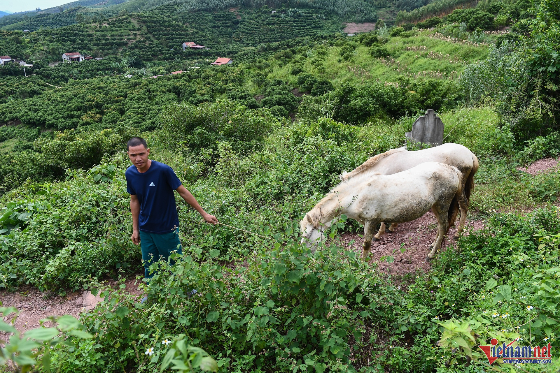 W- chuong trinh muc tieu quoc gia 3 (2).jpg