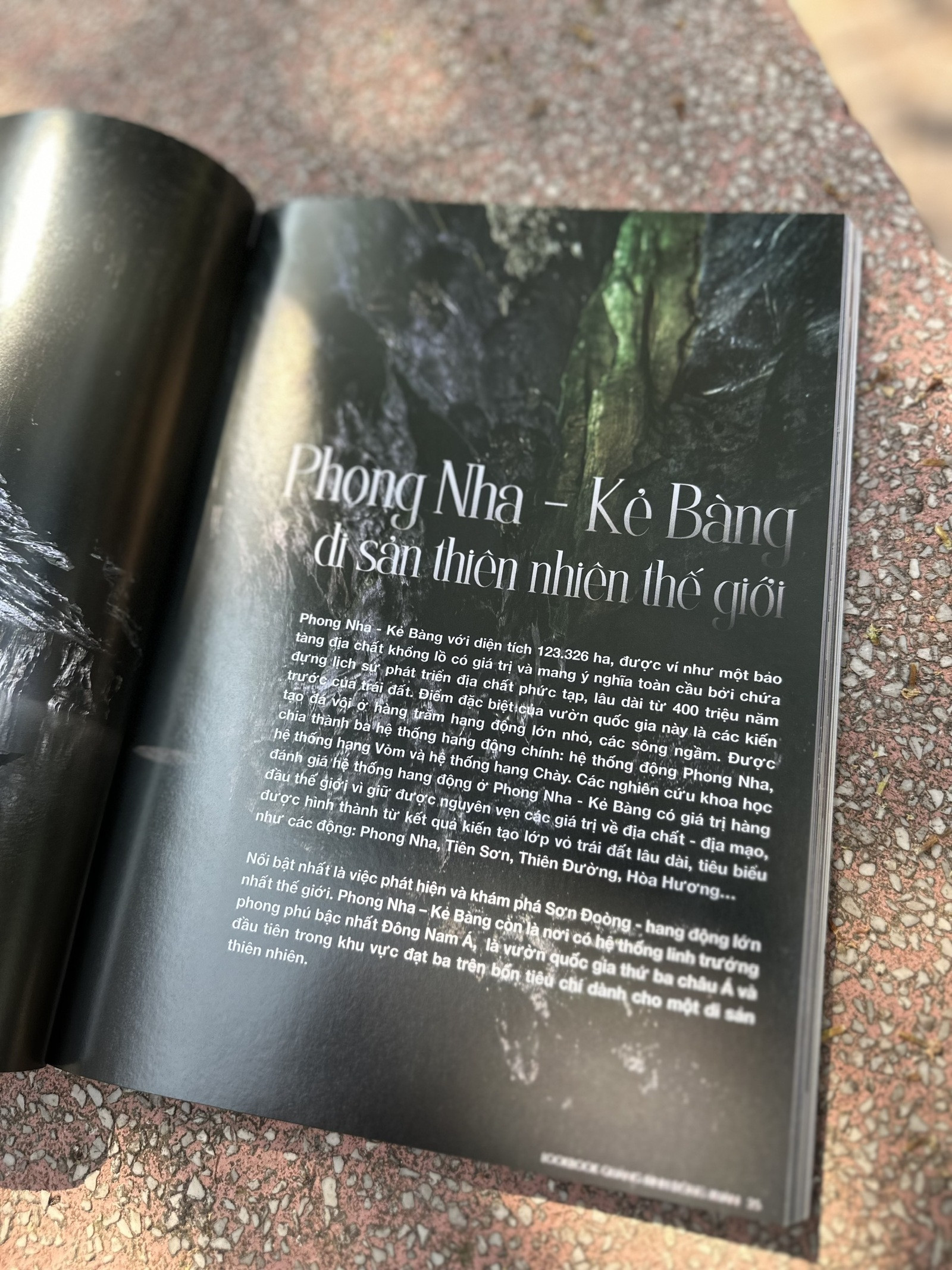 Khám phá 'miền di sản diệu kỳ' qua cuốn Travel Lookbook đầu tiên tại Việt Nam 2 z6017939181188_4f10d9c230f0a315ccffb342e0cb5226.jpg