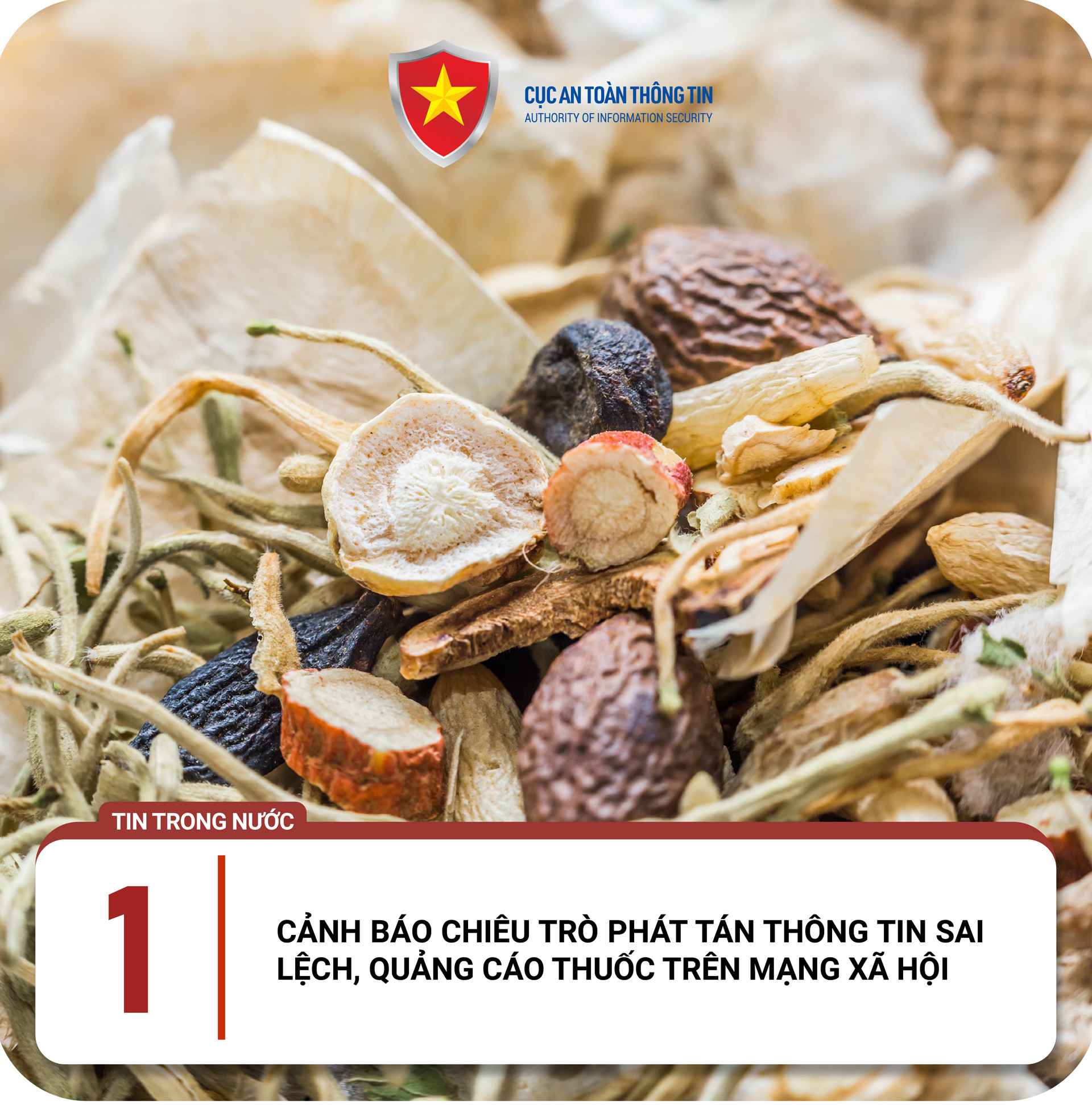 canh bao lua dao tai Viet Nam  1.jpg