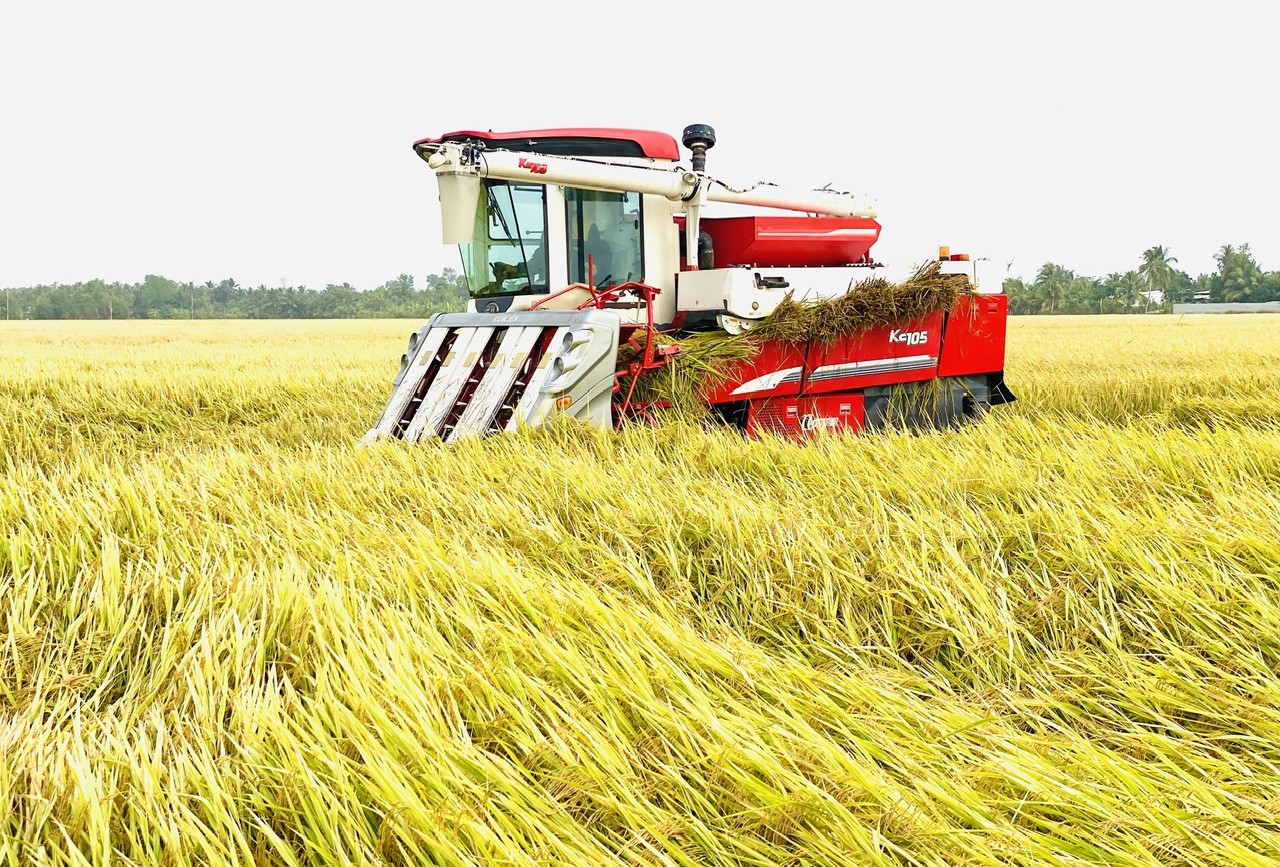 Hậu Giang: 3 tháng đầu năm, thêm 190 hồ sơ đăng ký thành lập doanh nghiệp