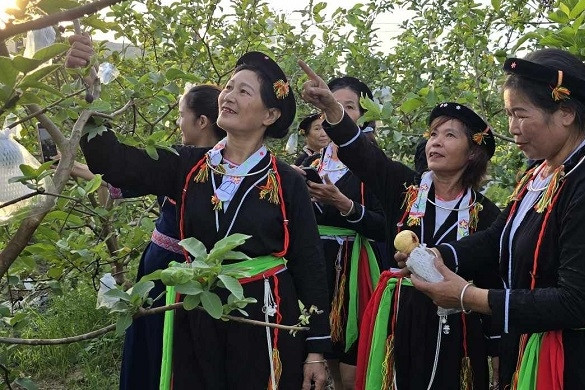 Kết quả tích cực về xây dựng hệ giá trị văn hoá và con người Quảng Ninh