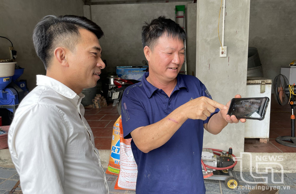 Ông Dương Văn Hà, xóm Thuần Pháp, xã Điềm Thụy, lắp đặt camera kết nối trực tuyến với điện thoại thông minh để dễ dàng theo dõi tình trạng đàn lợn của gia đình.