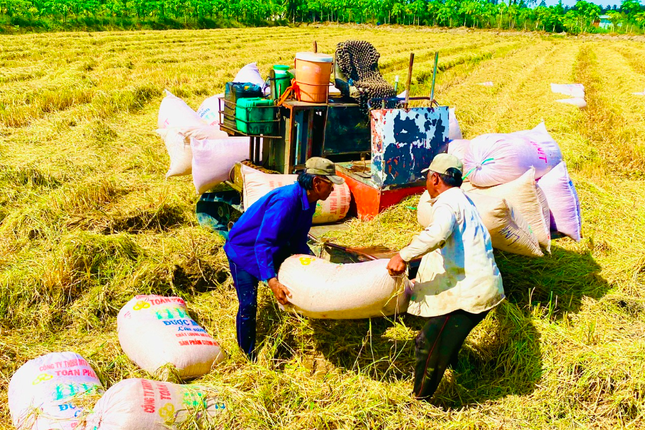 Tháng 10, Hậu Giang có thêm 123 doanh nghiệp mới thành lập