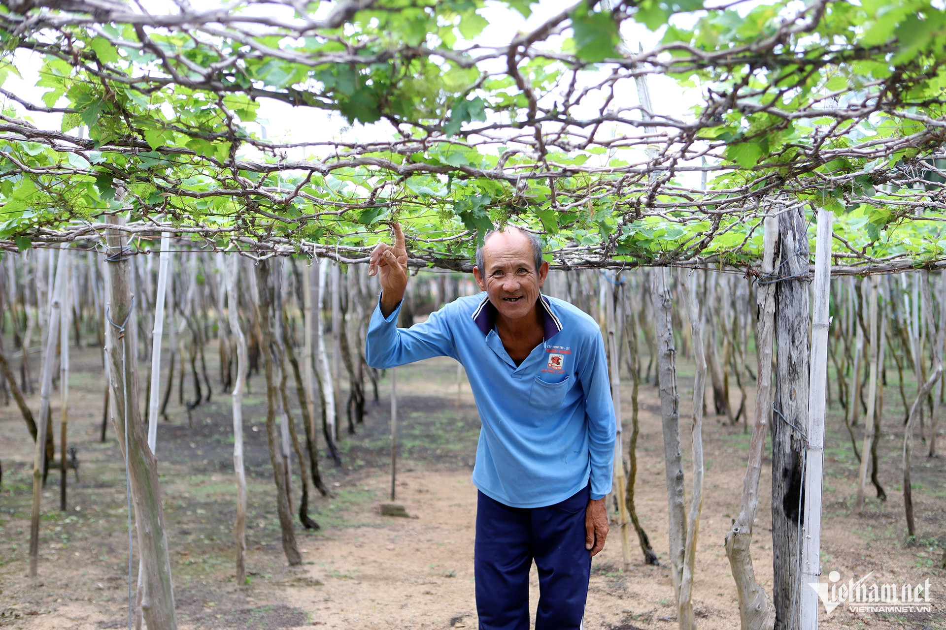 W-Dienhatnhan IMG_8873.jpg