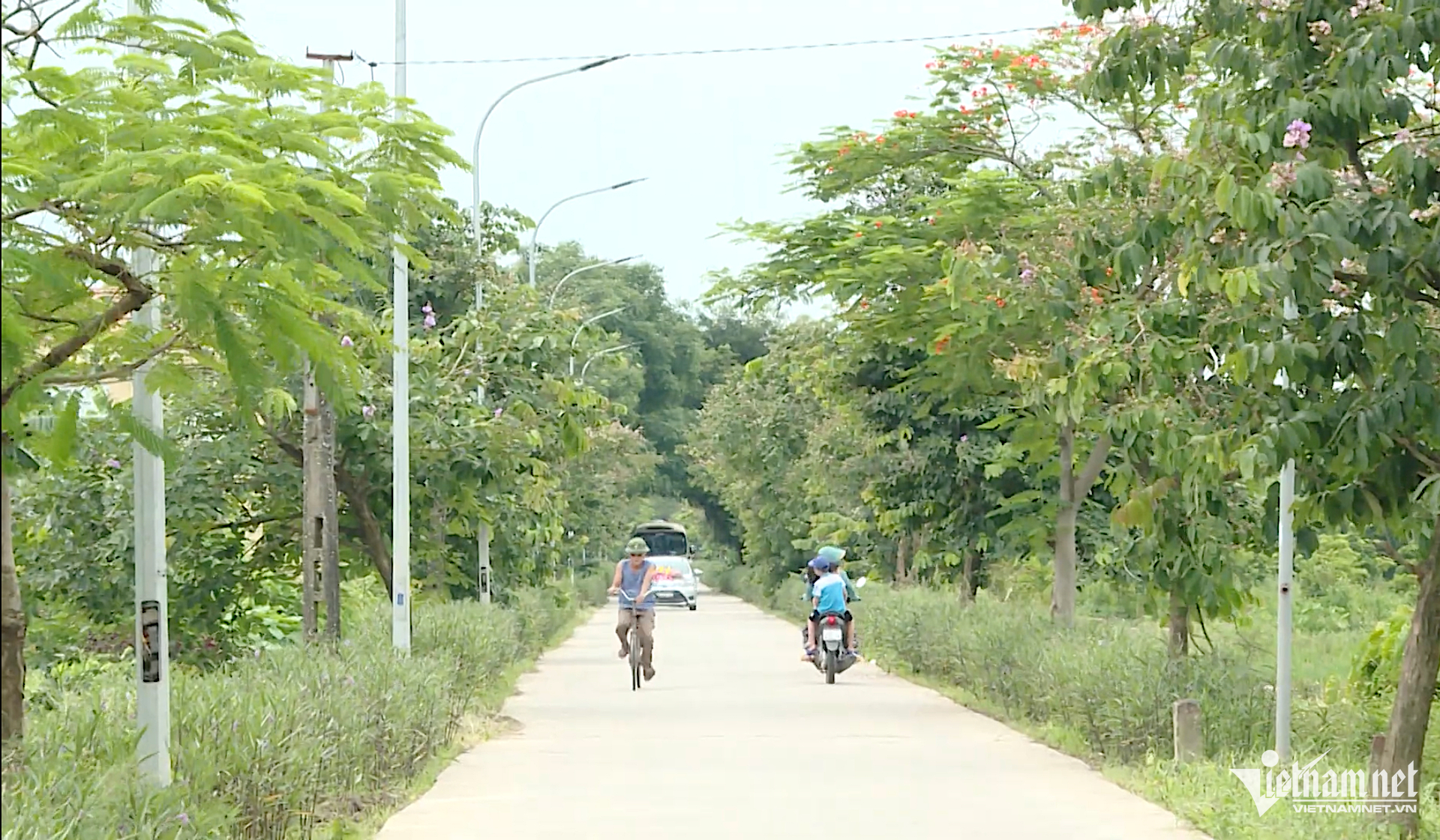 W-hongminh.png