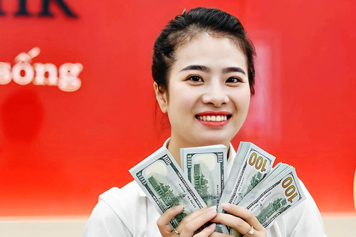 Tỷ giá USD hôm nay 12/11/2024: Giá USD ngân hàng đảo chiều đi lên