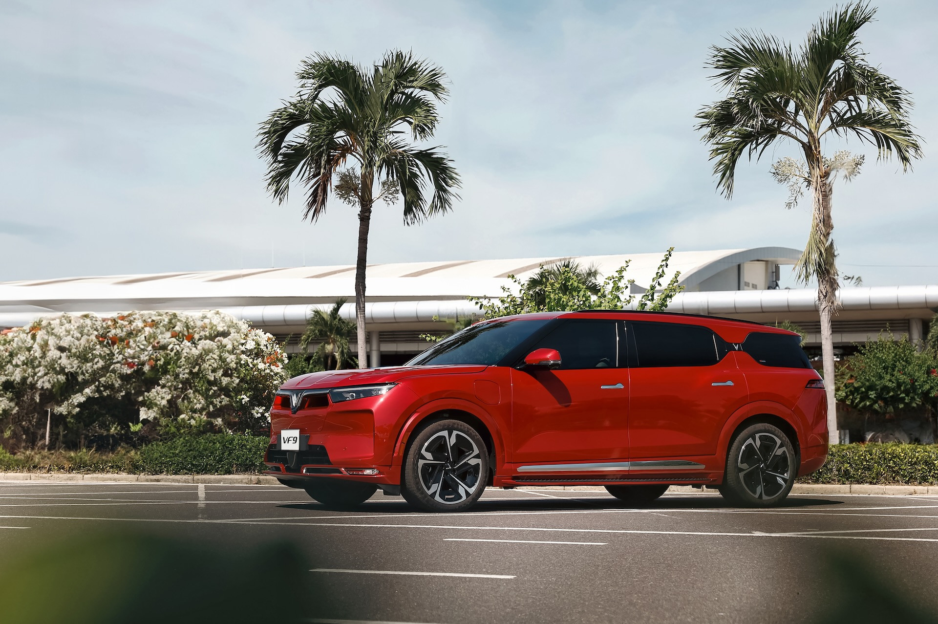 ảnh_Viber_2024 11 12_11 19 42 716.jpg