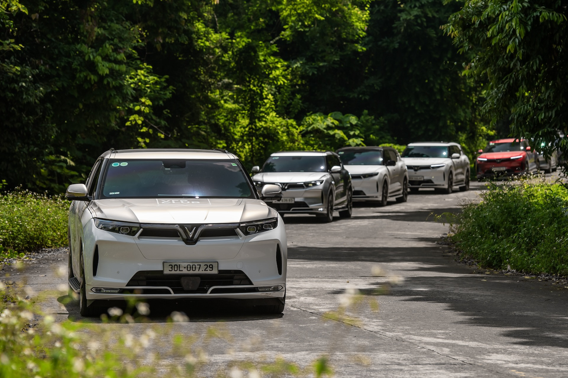 ảnh_Viber_2024 11 12_11 19 47 131.jpg