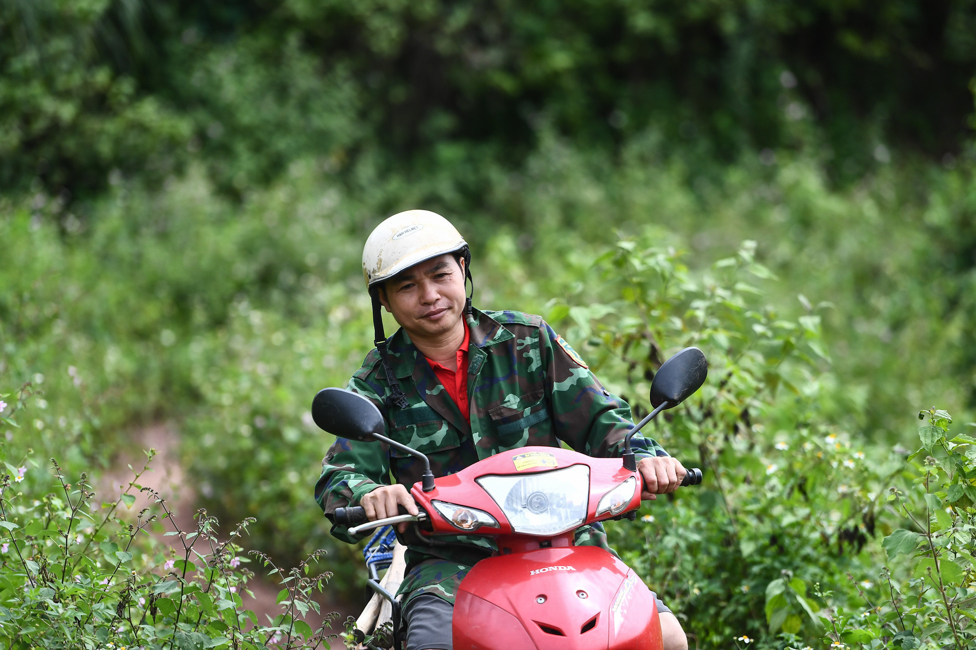 Thị xã Hương Thủy trao lợn sinh sản tạo sinh kế thoát nghèo bền vững