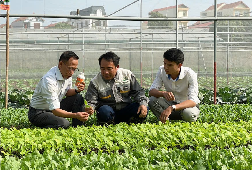 Phân bón hữu cơ Top One - giải pháp dinh dưỡng hiệu quả cho cây trồng