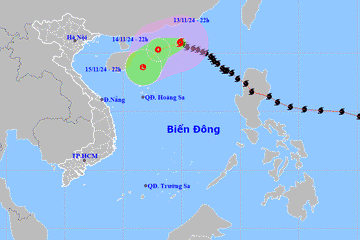 Dự báo thời tiết 14/11/2024: Bão số 8 suy yếu thành áp thấp nhiệt đới