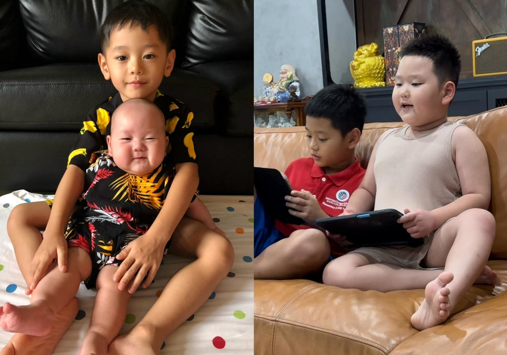 batch_12 tra my idol 1731420546.jpg