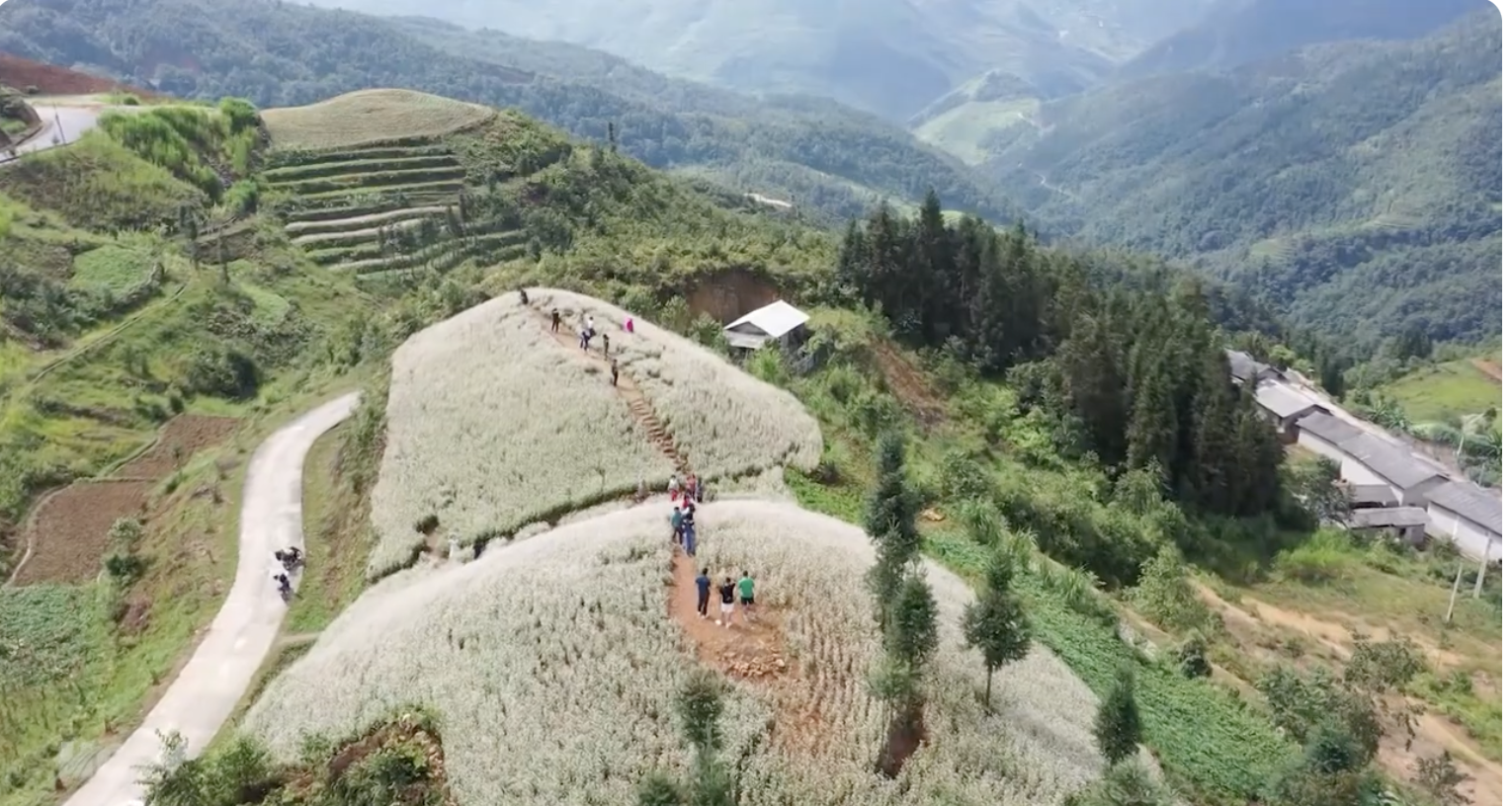 Hagiang.png
