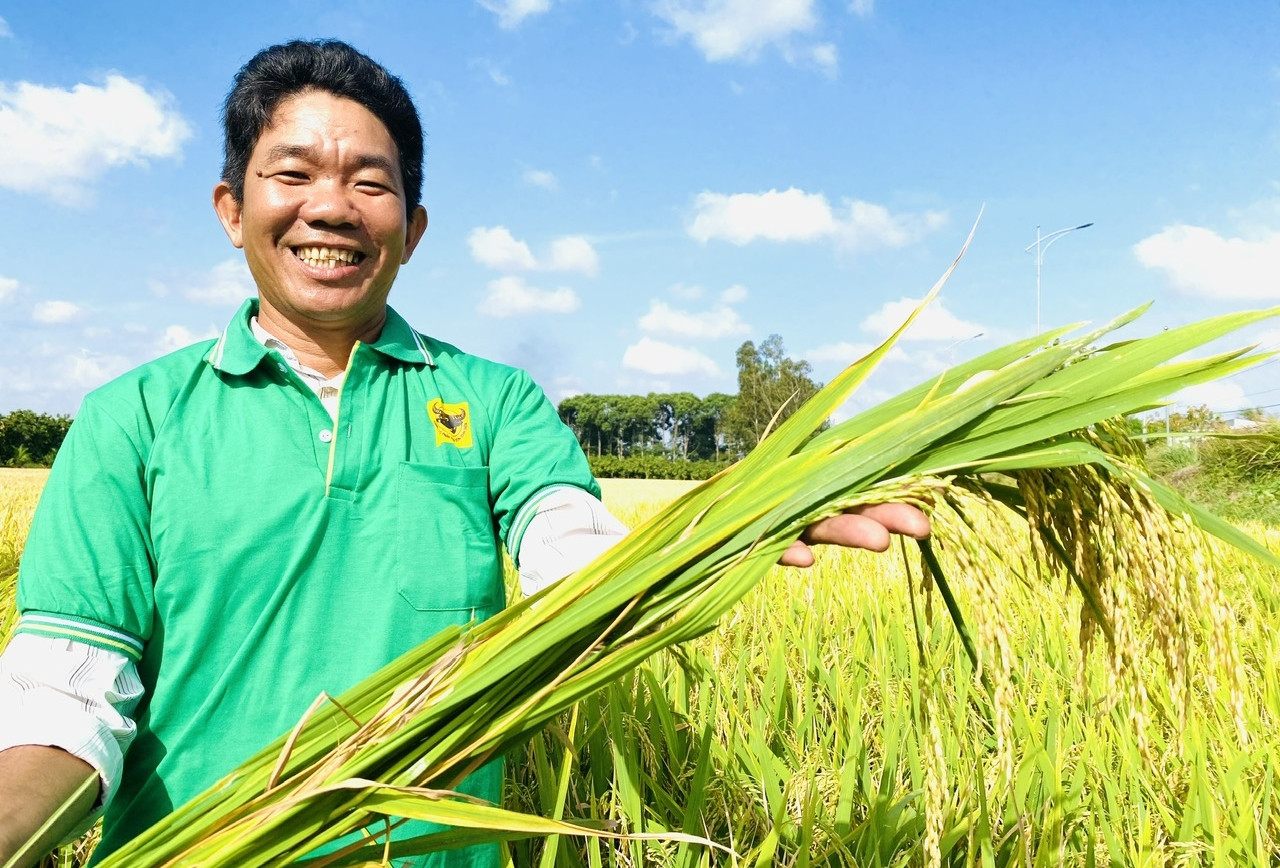 Hậu Giang xây dựng nông nghiệp hiện đại, nâng cao thu nhập cho nhà nông