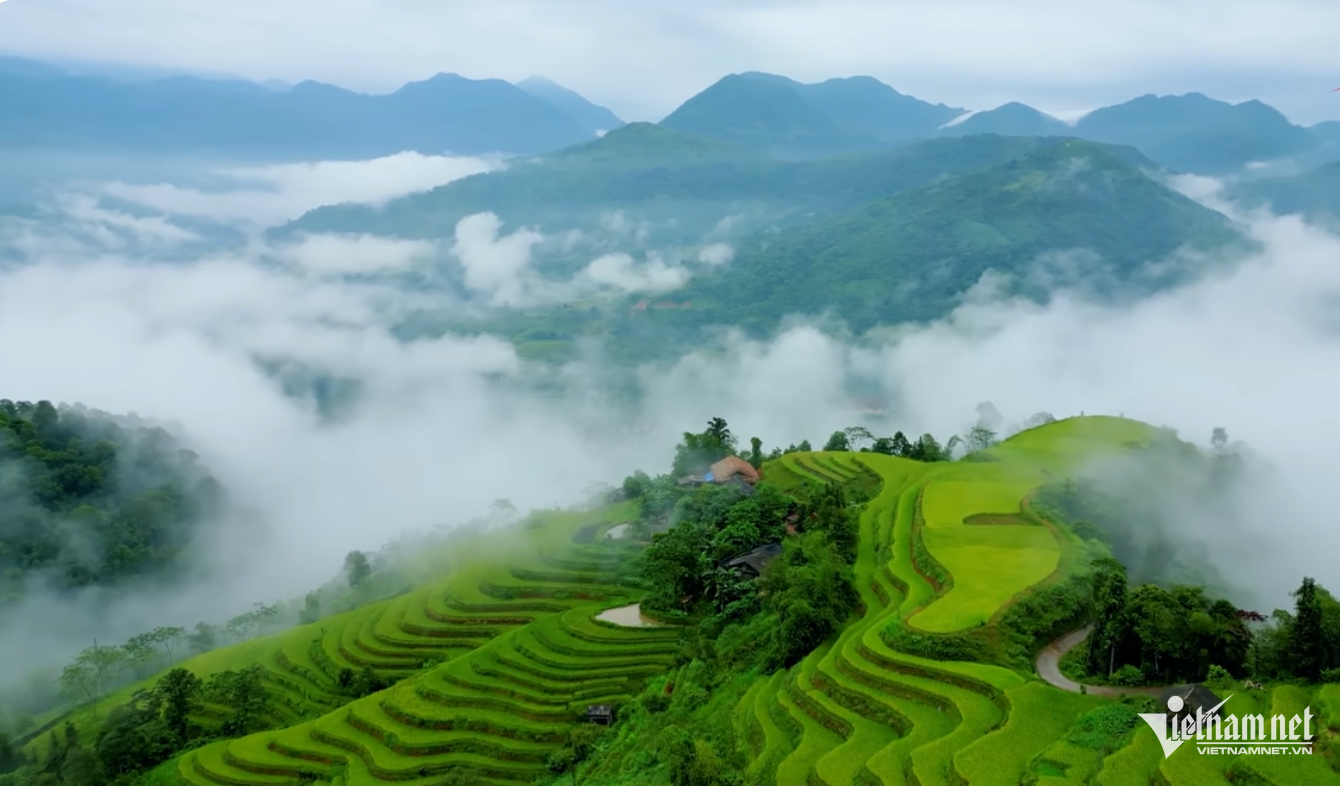 W-hagiang.png