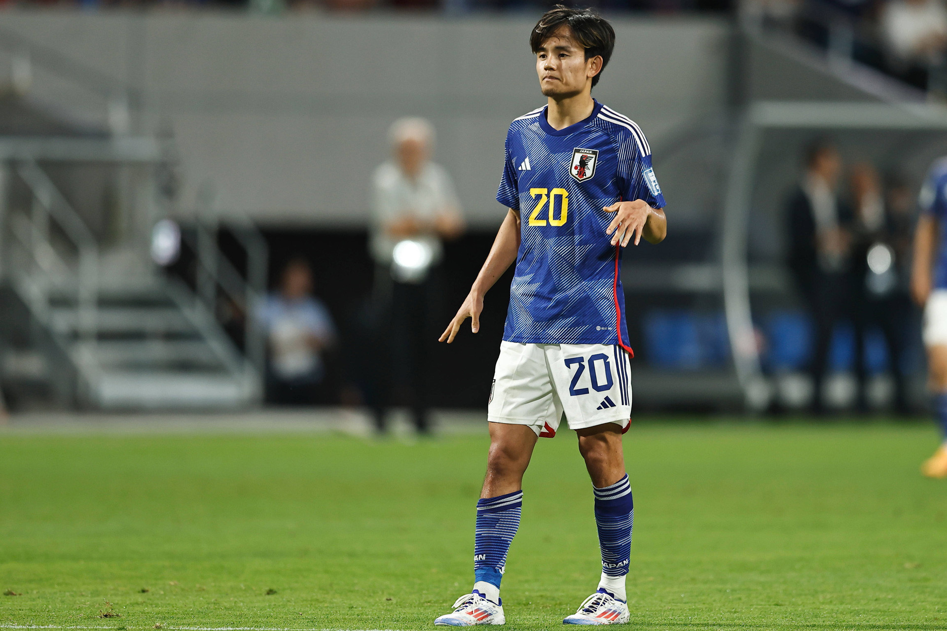 Kubo Nhat Ban. Imago