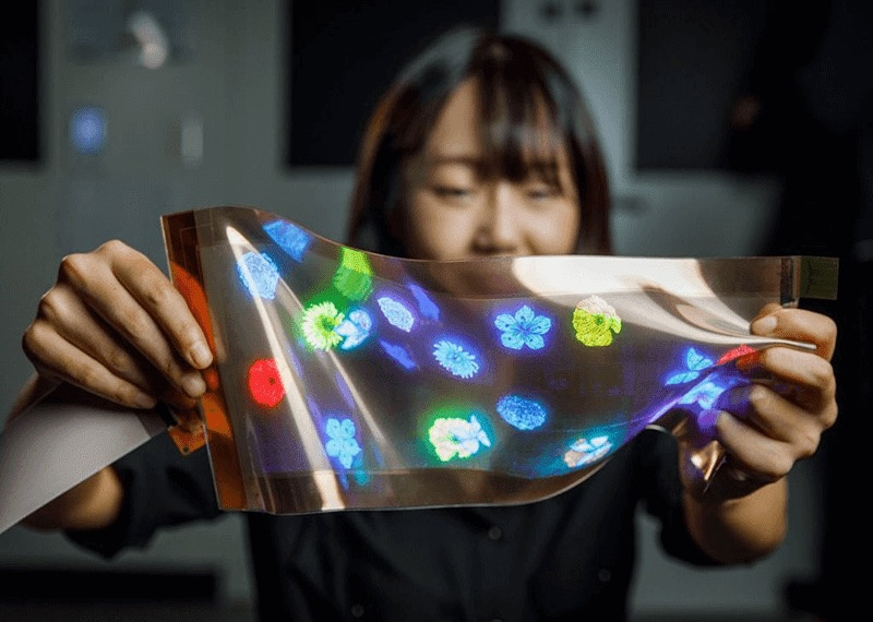 lg display stretchable screen 1.jpg