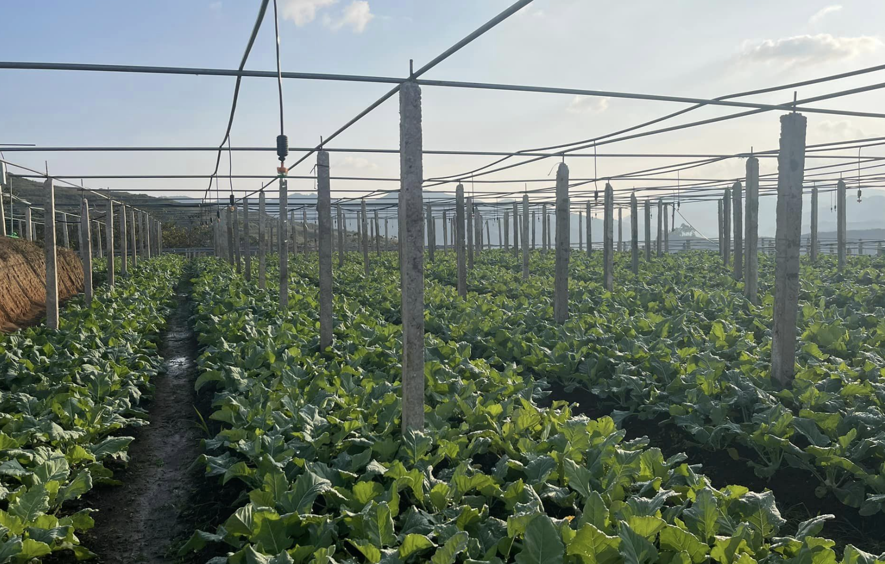 Ảnh chụp Màn hình 2024 05 13 lúc 09.43.10.png