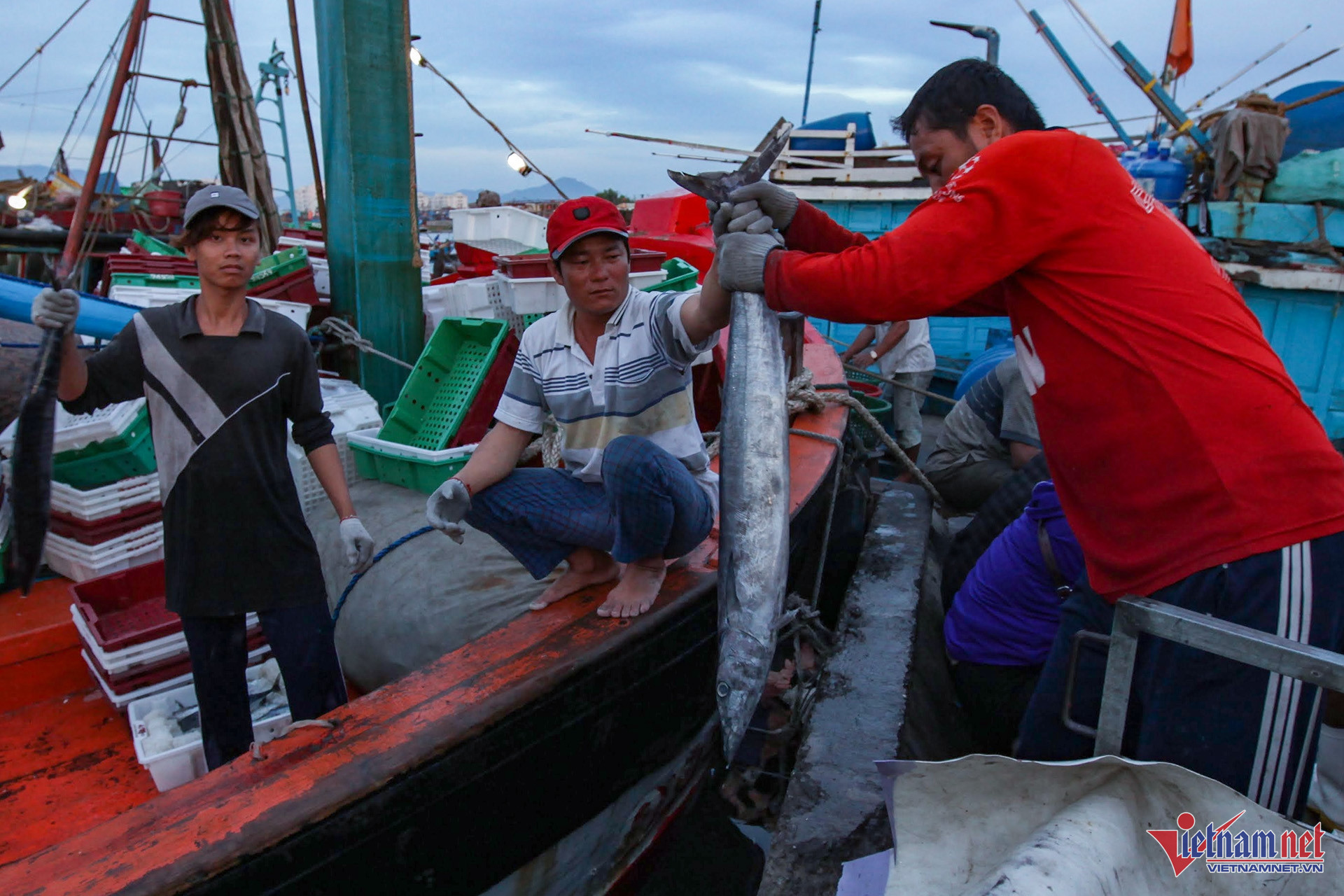W-Cảng cá Lạch Bạng, Tĩnh Gia, Thanh Hóa 13 used phát triển thuỷ sản.JPG.jpg