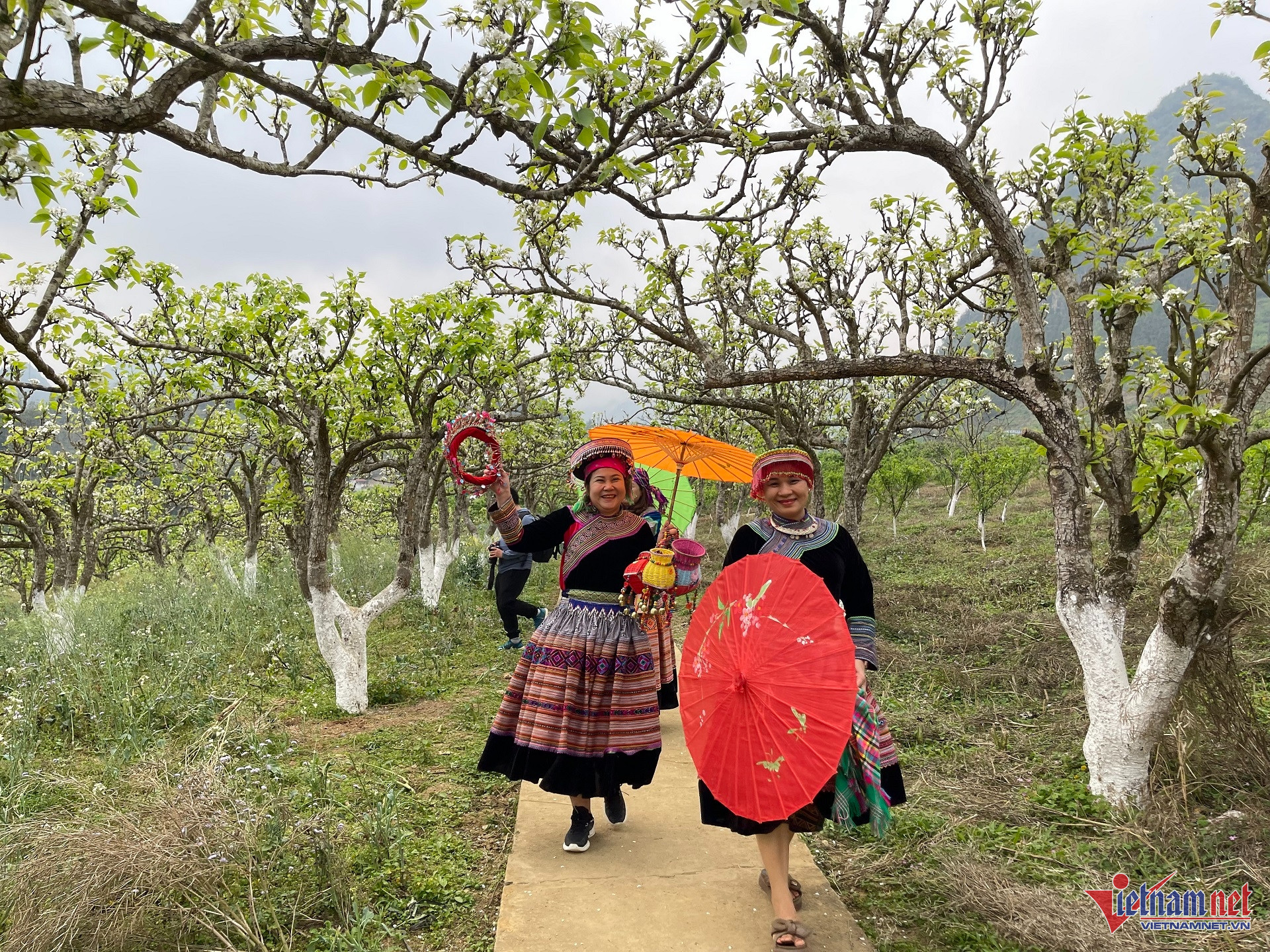 W-IMG_3581 du lịch nông thôn.jpg