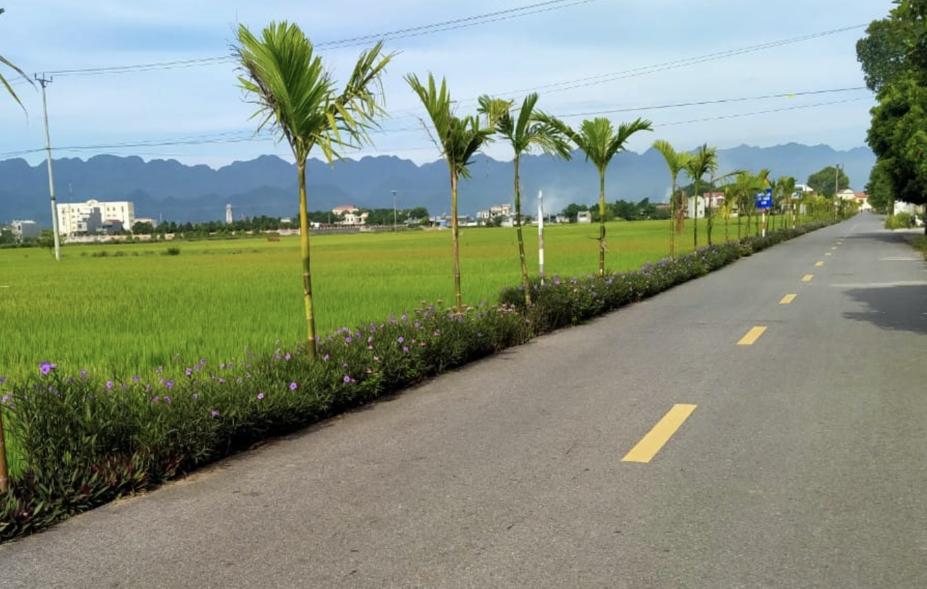 Ảnh chụp Màn hình 2024 10 15 lúc 11.53.46.png