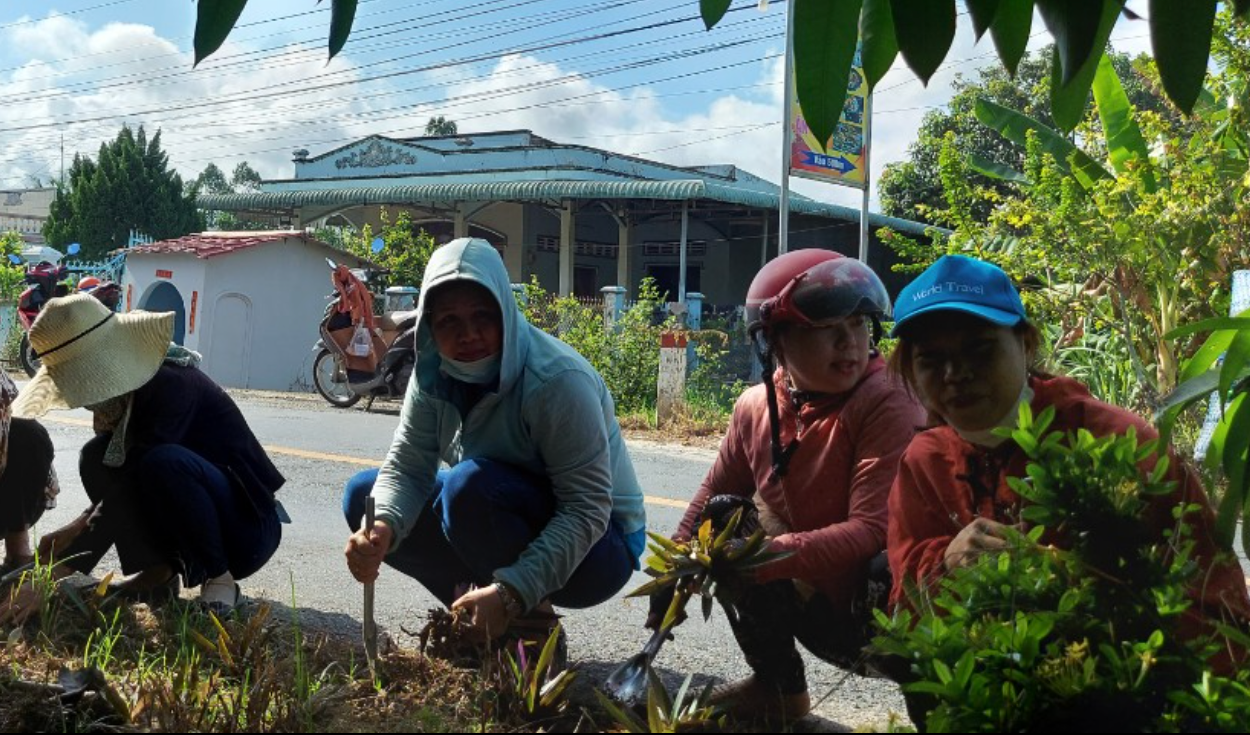 Ảnh chụp Màn hình 2024 11 12 lúc 11.09.44.png