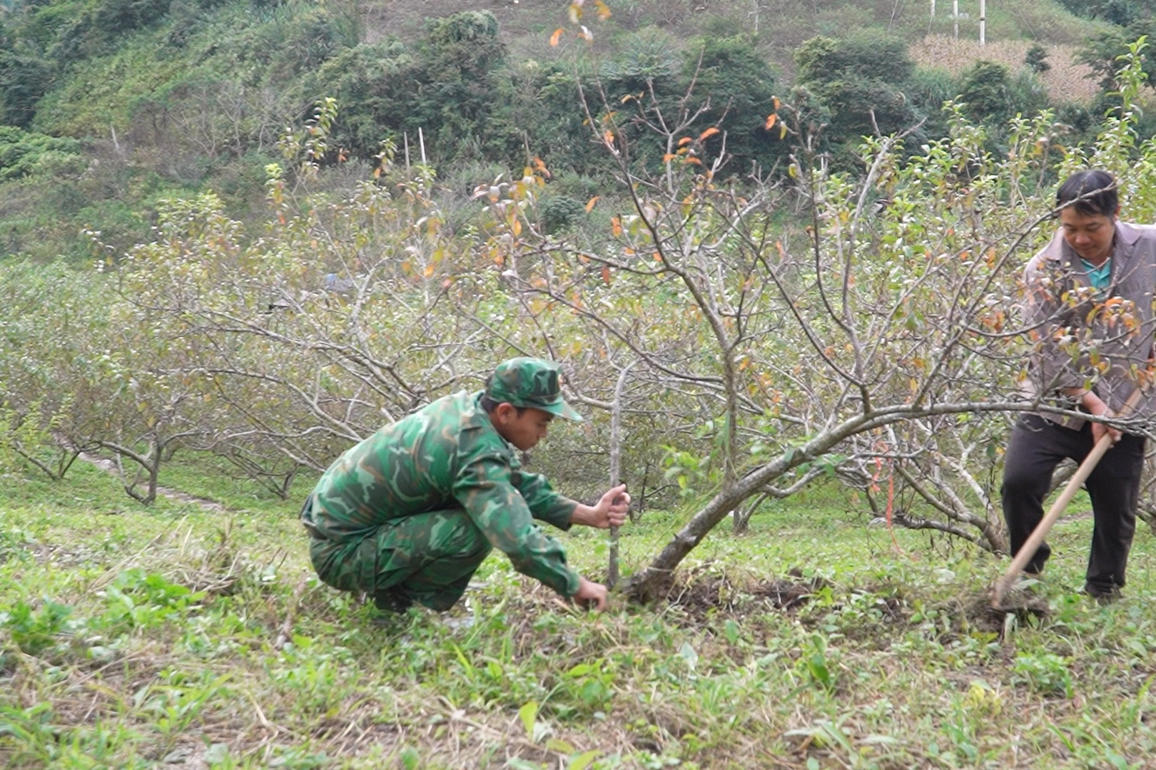 BĐBP “cầm tay chỉ việc”, giúp đồng bào DTTS cách thoát nghèo