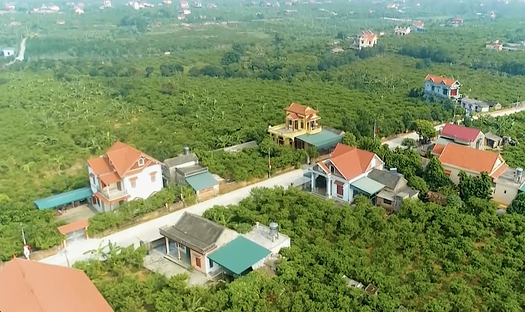 NTM Đông Triều: Nhiều mô hình kinh tế ngày càng phát triển mang đến cuộc sống sung túc