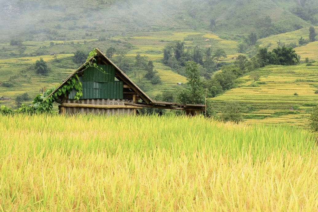 Lào Cai ban hành Nghị quyết về chính sách hỗ trợ đất đai đối với đồng bào DTTS