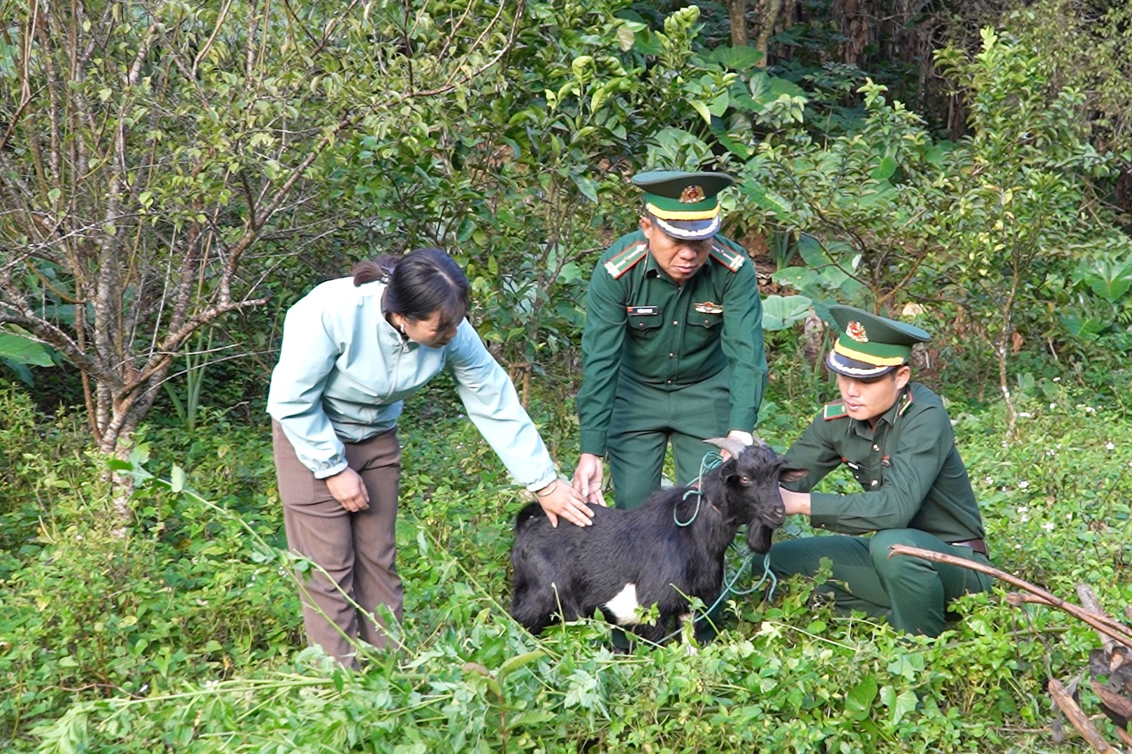 Lóng Sập: Dê giống khởi nghiệp giúp phụ nữ DTTS cải thiện thu nhập