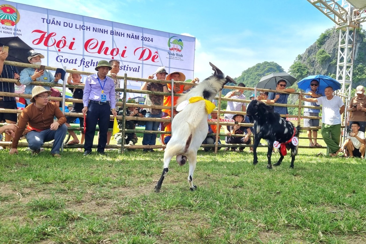 Ninh Bình tích cực chuyển đổi số trong du lịch