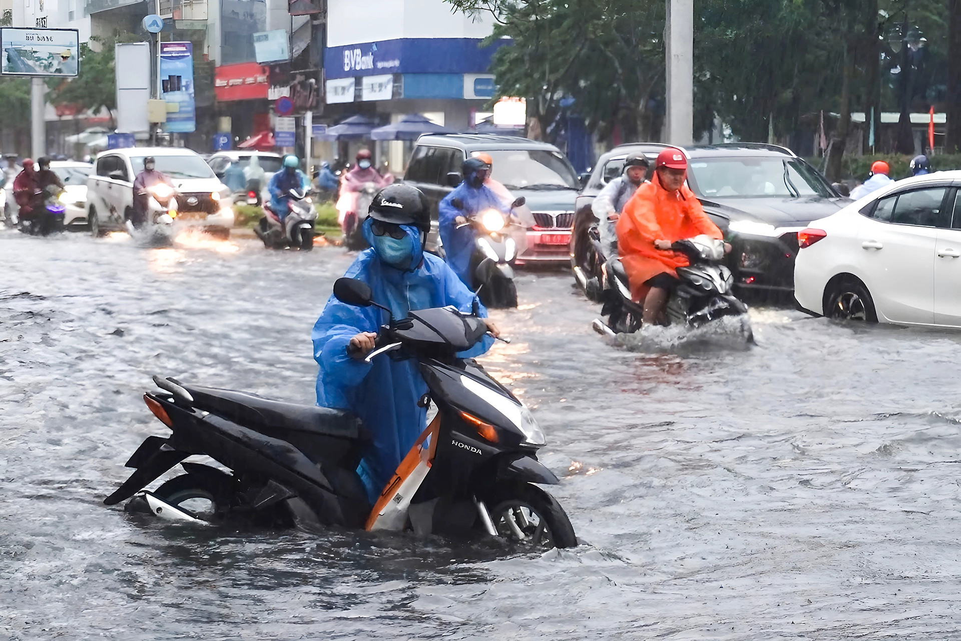 Dự báo thời tiết 21/11/2024: Miền Trung mưa lớn