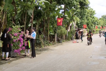 Sơn Dương tháo gỡ các tiêu chí khó, quyết về đích nông thôn mới đúng hẹn