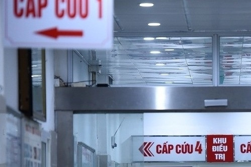 Tai nạn bất ngờ trong vườn nhà khiến người đàn ông trẻ &apos;chạy không kịp&apos;