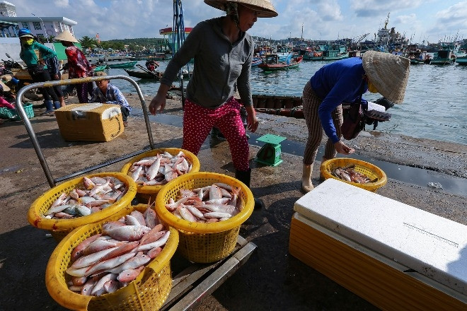 Phát triển mạnh ngành thuỷ sản để tỉnh trở thành trung tâm kinh tế biển quốc gia