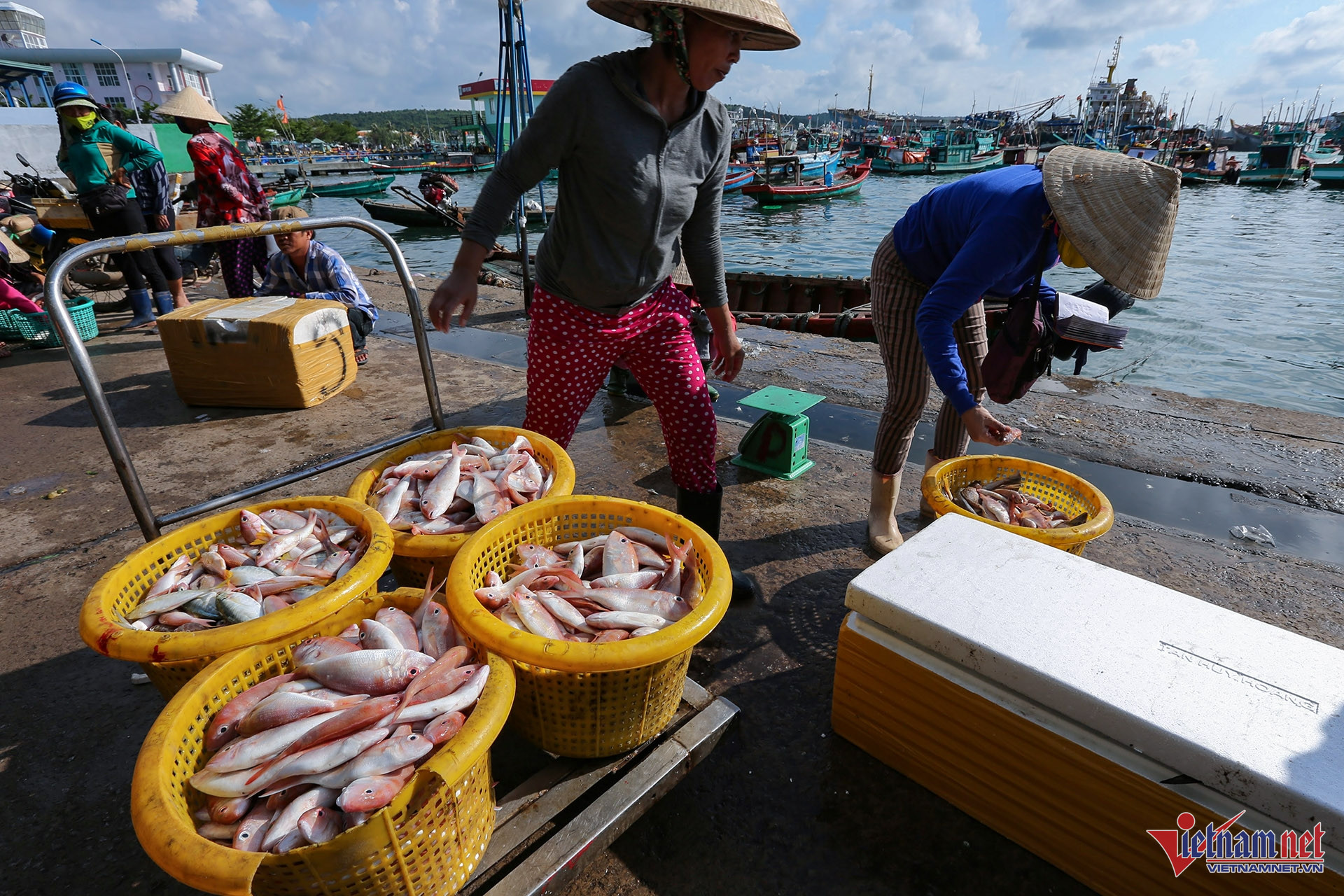 W-Cảng cá An Thới Phú Quốc, KIên Giang 6 used BRVT.JPG.jpg