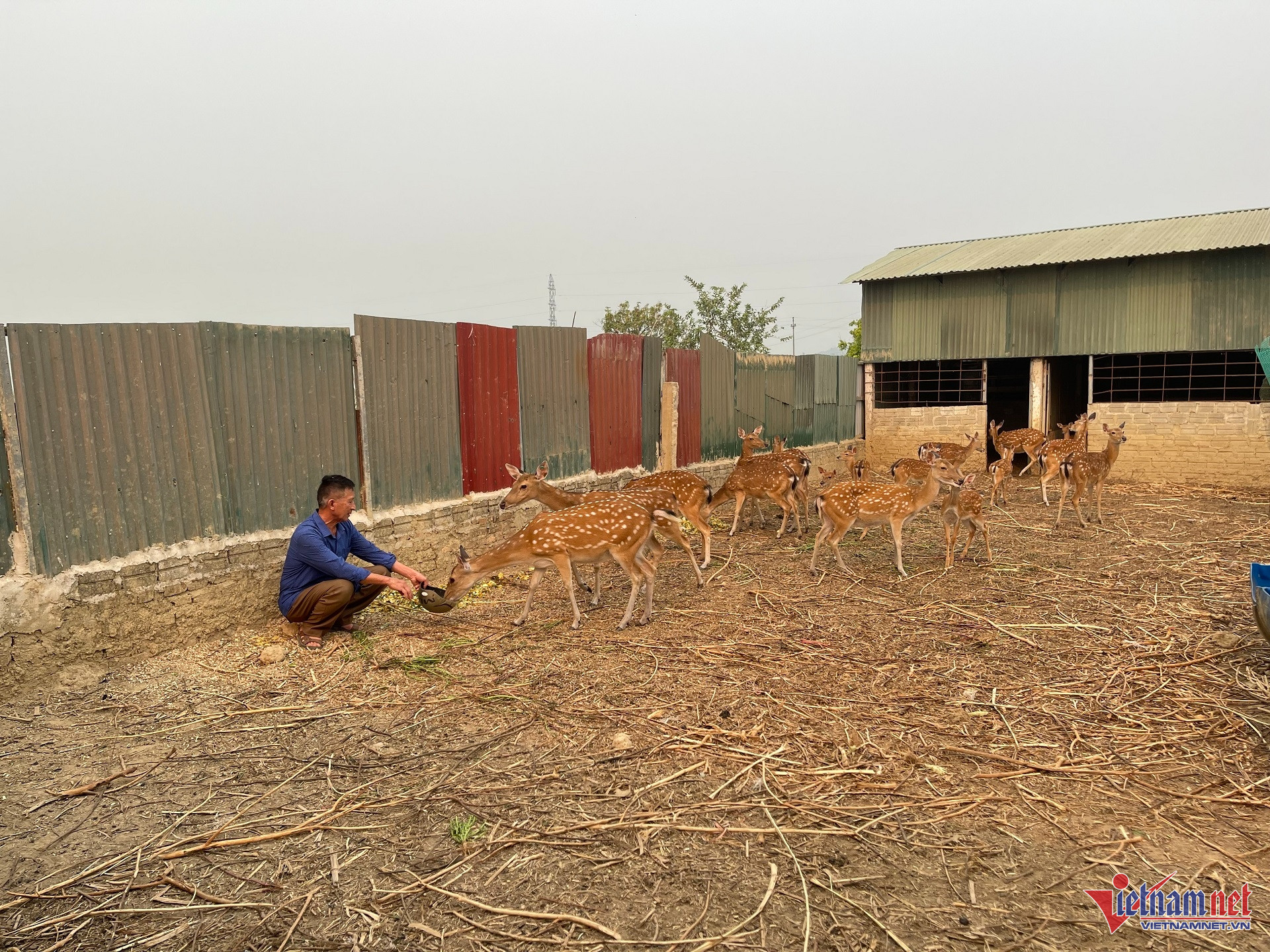 W-NTM hoài ân bình định.jpg