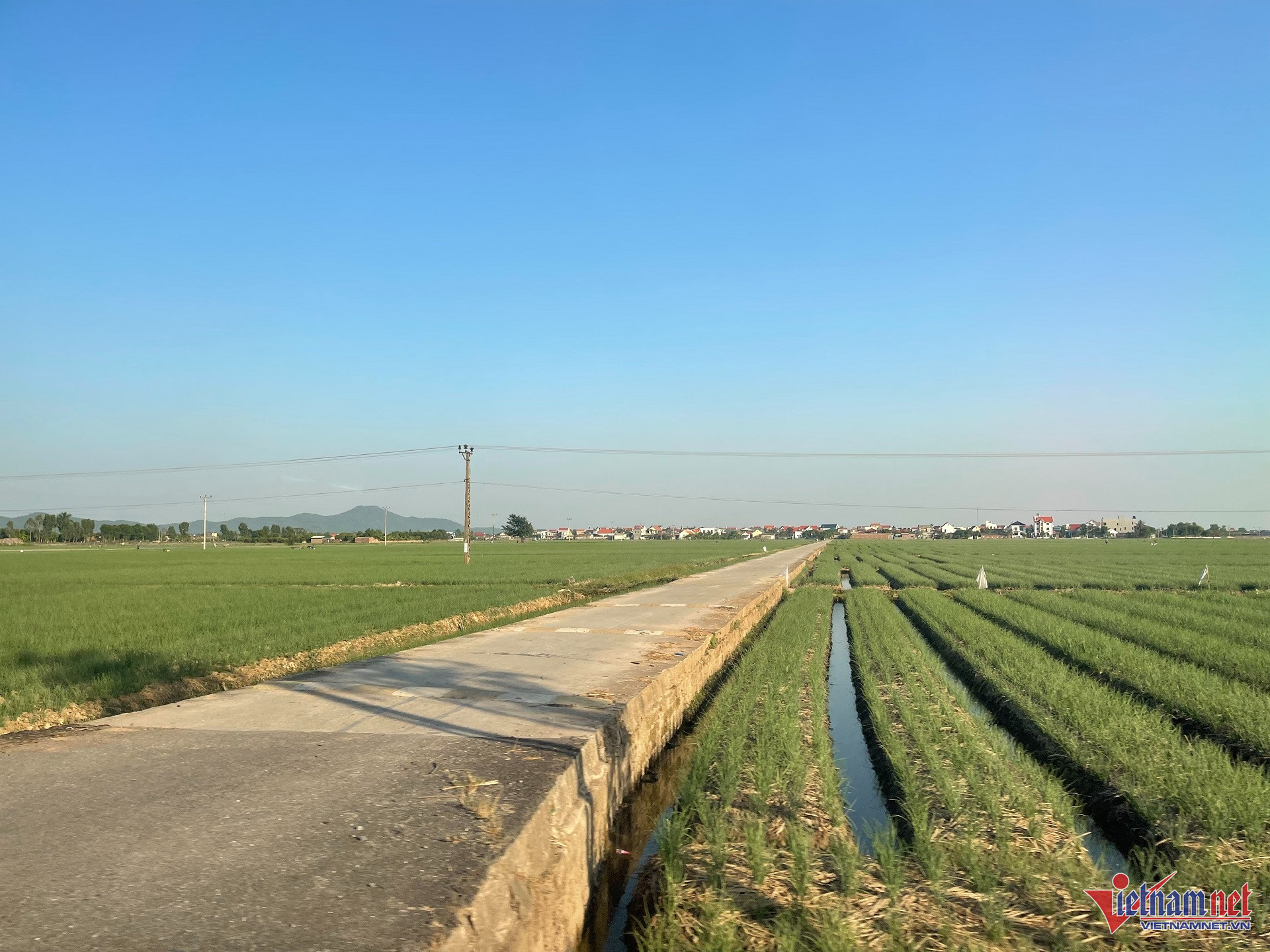 W-NTM Hưng Yên used.jpg