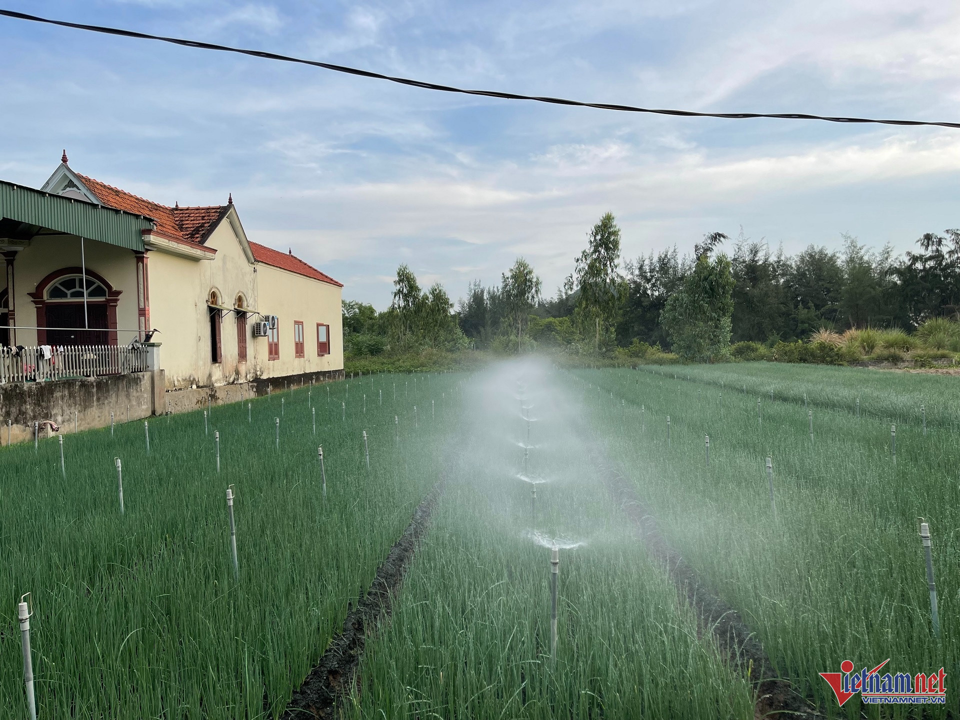 W-NTM nông nghiệp CNC Bảo Lâm.jpg