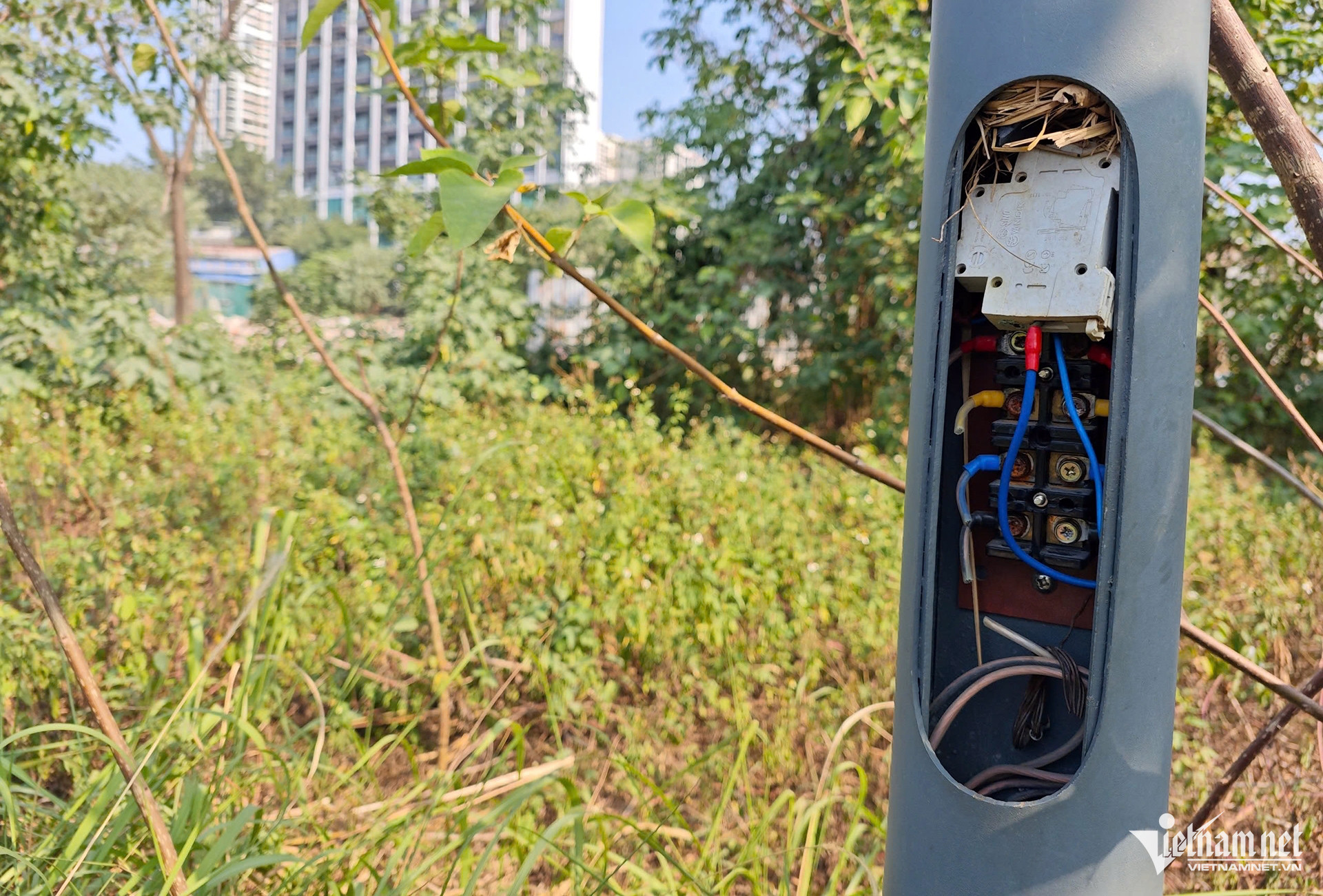 W-o dien phung khoang.jpeg