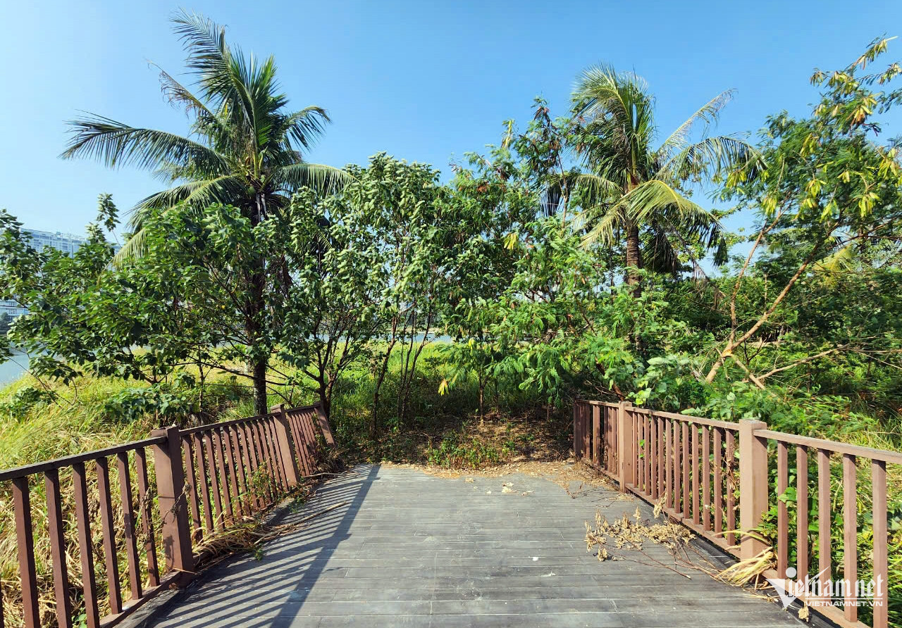 W-phung khoang 6.jpeg