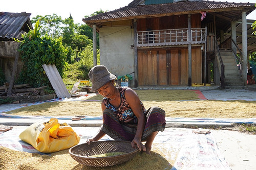 Giải quyết tình trạng thiếu đất, nhà ở, giúp đồng bào dân tộc phát triển kinh tế