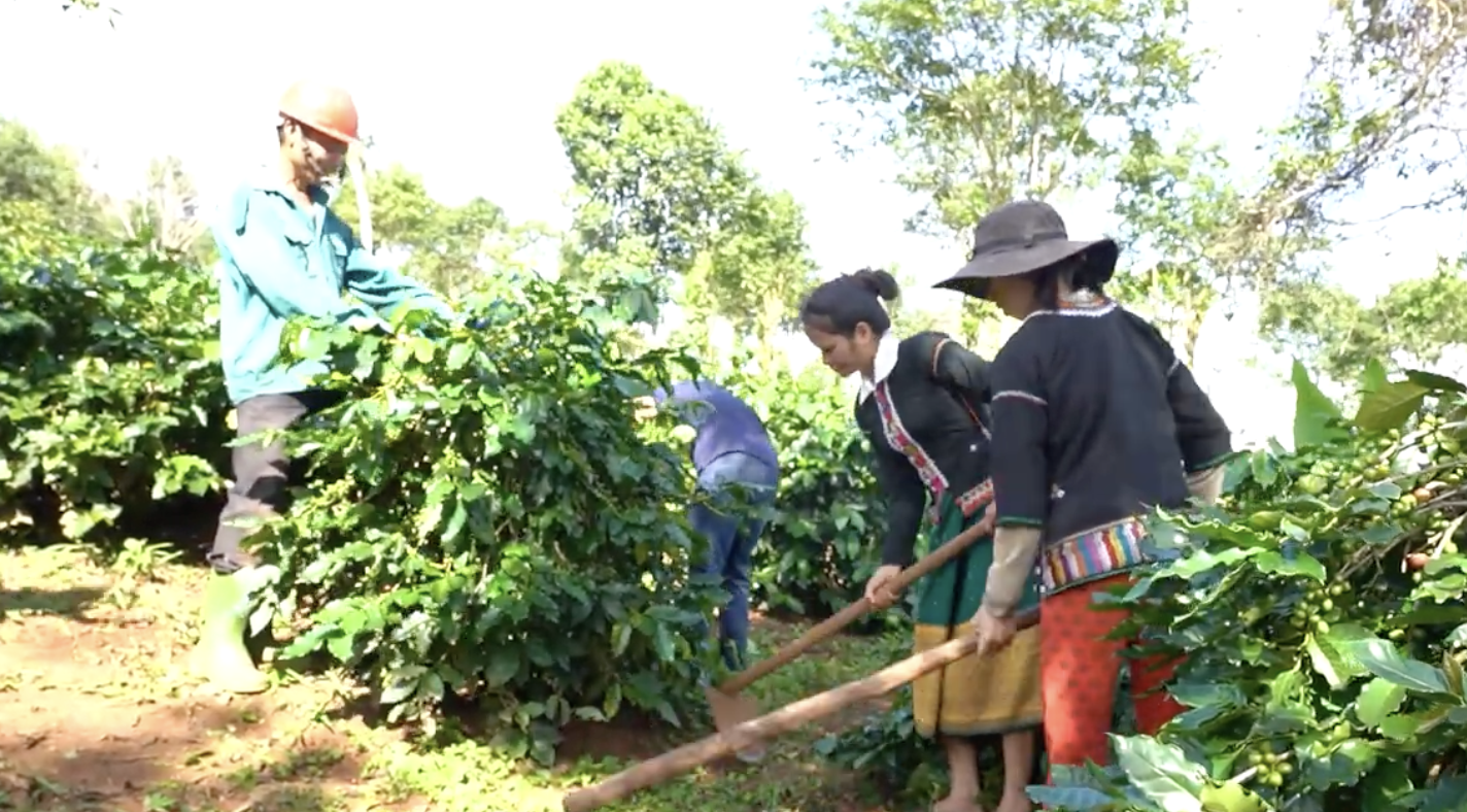 Dự án Tạo lập, quản lý và phát triển chỉ dẫn địa lý Khe Sanh