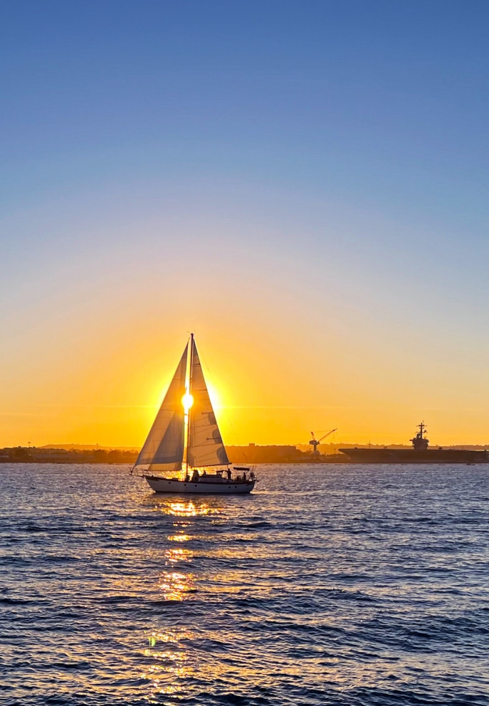 batch_Cánh Buồm Vàng.jpg