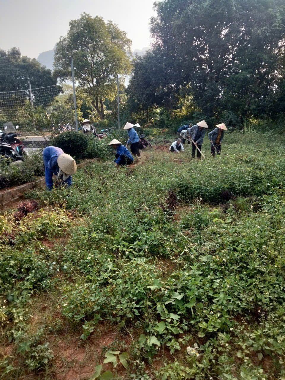 anh bai tan uyen.jpg