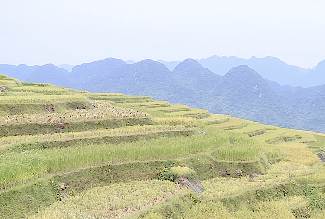 Bá Thước vững tin vào mục tiêu đạt chuẩn huyện NTM vào năm 2030