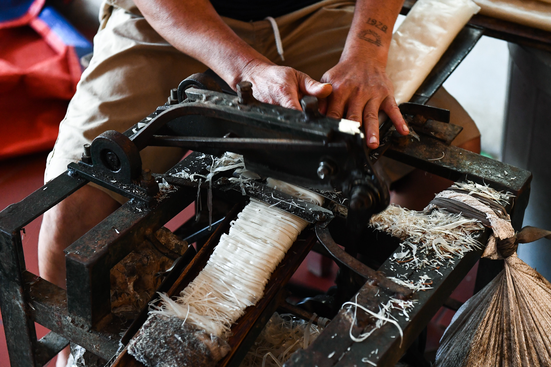 Hướng đi giúp hàng nghìn hộ ở Ninh Thuận thoát nghèo