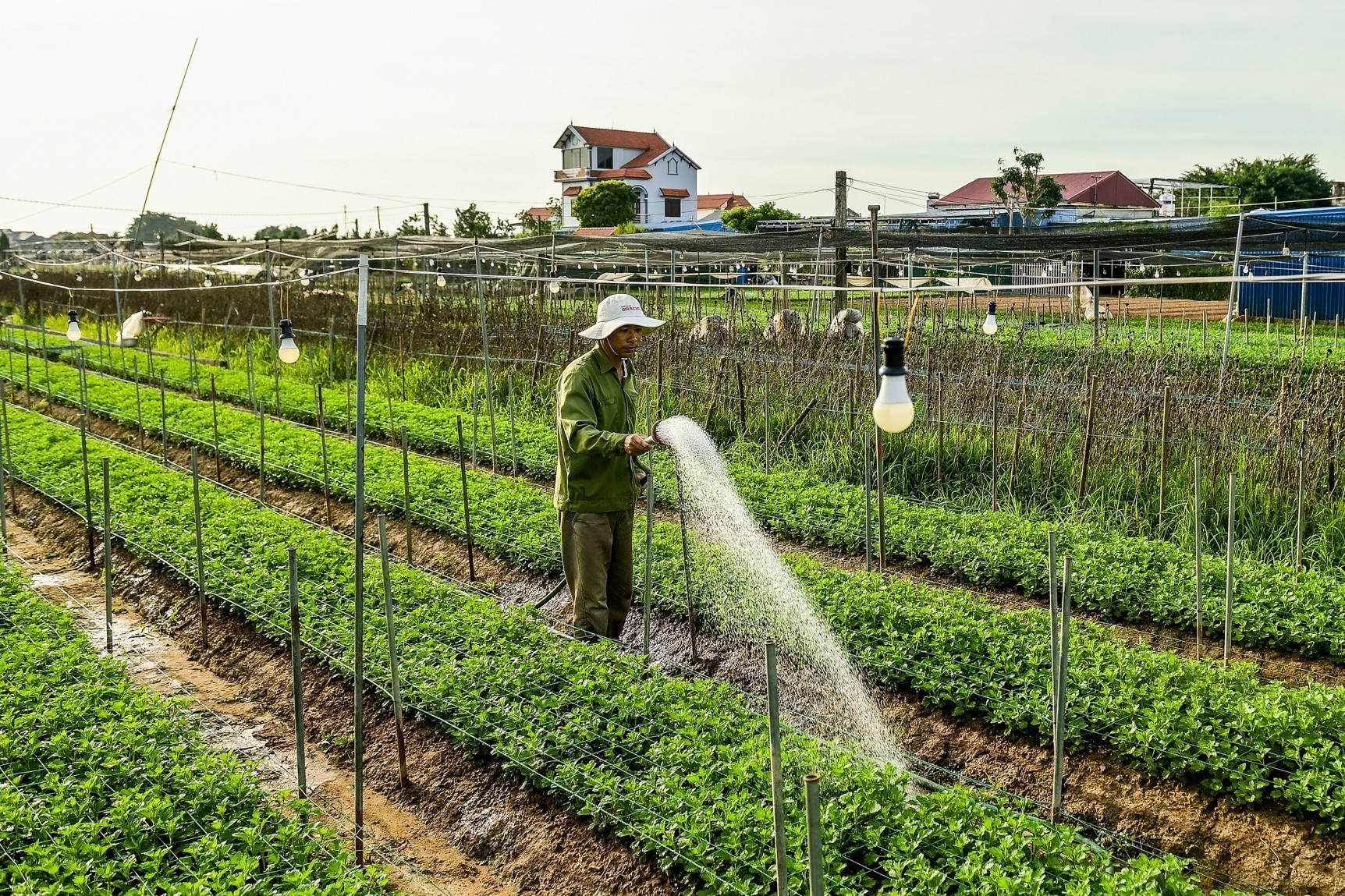 Tập huấn kiến thức, kỹ năng tuyên truyền giảm nghèo về thông tin